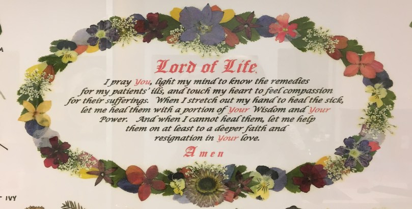 A1199235-01B1-4BA6-A259-ECFC4AA675D5